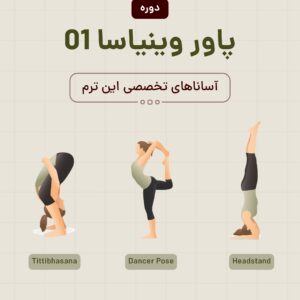 پاور وینیاسا ۱