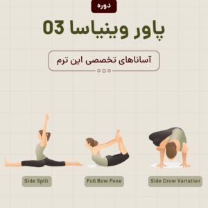 پاور وینیاسا ۳