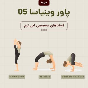 پاور وینیاسا ۵