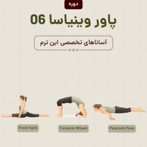 پاور وینیاسا ۶