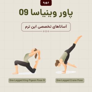 پاور وینیاسا ۹